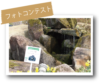 フォトコンテスト