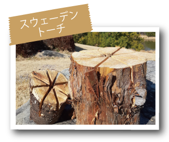 スウェーデントーチ