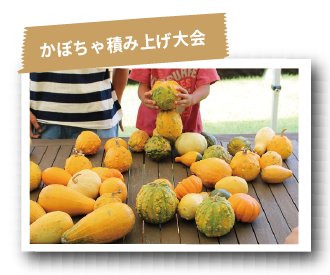 かぼちゃ積み大会