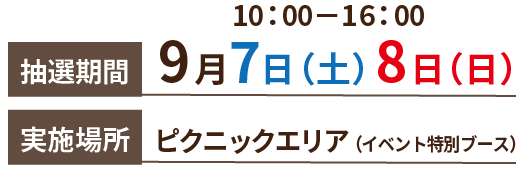 抽選会期間