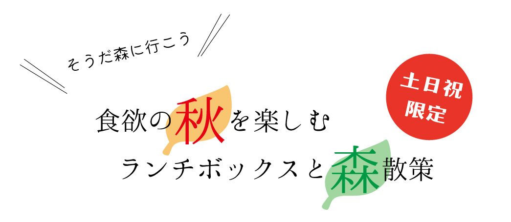 森歩き