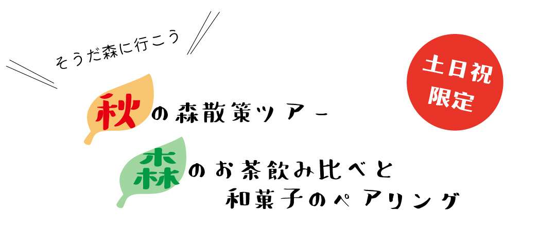 森歩き
