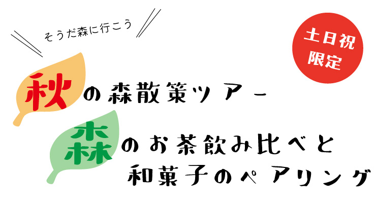 森歩き